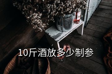 10斤酒放多少制參