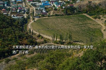 大家誰(shuí)知道酒廠廢水的成分是什么啊我家附近有一家大型酒廠開(kāi)了能