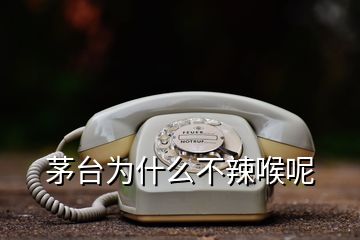 茅臺為什么不辣喉呢