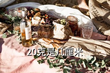 20克是幾厘米