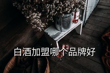 白酒加盟哪個(gè)品牌好