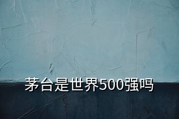 茅臺是世界500強嗎