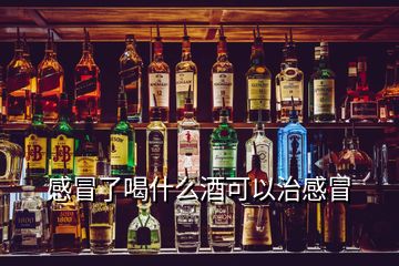 感冒了喝什么酒可以治感冒