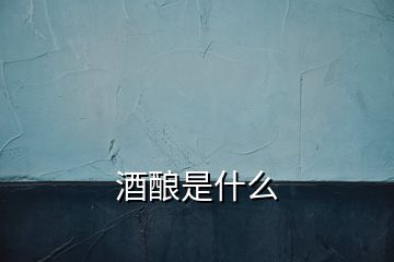 酒釀是什么