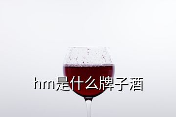 hm是什么牌子酒