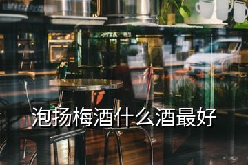 泡揚(yáng)梅酒什么酒最好