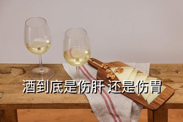 酒到底是傷肝 還是傷胃