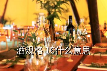 酒規(guī)格 16什么意思