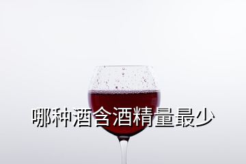 哪種酒含酒精量最少