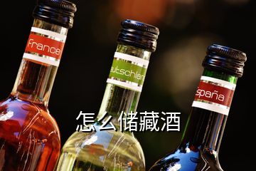 怎么儲藏酒