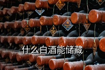 什么白酒能儲(chǔ)藏