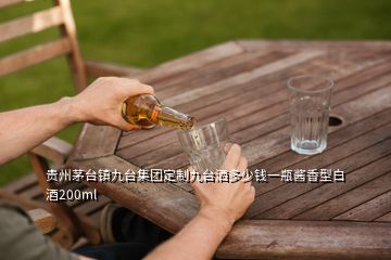 貴州茅臺鎮(zhèn)九臺集團(tuán)定制九臺灑多少錢一瓶醬香型白酒200ml