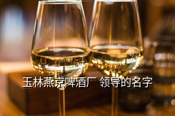 玉林燕京啤酒廠 領(lǐng)導(dǎo)的名字