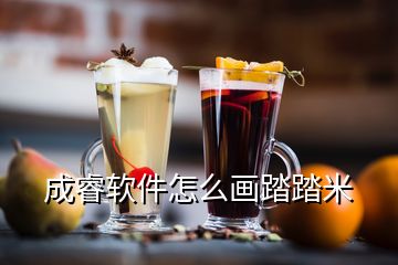 成睿軟件怎么畫踏踏米