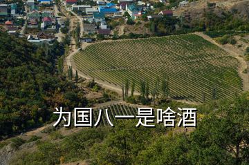 為國(guó)八一是啥酒