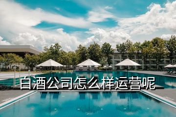 白酒公司怎么樣運營呢