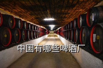 中國有哪些啤酒廠