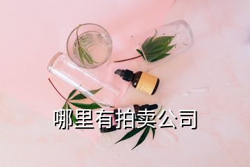 哪里有拍賣(mài)公司