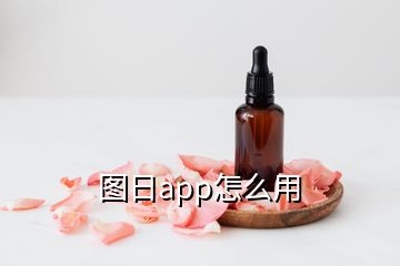 圖日app怎么用