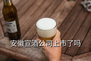 安徽宣酒公司上市了嗎