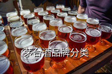 茅臺(tái)酒品牌分類