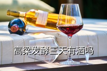 高梁發(fā)酵三天有酒嗎