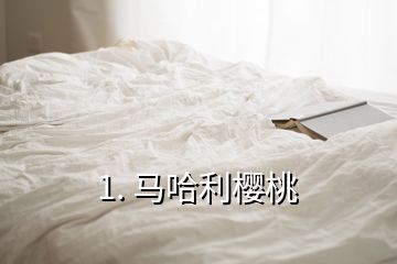 1. 馬哈利櫻桃