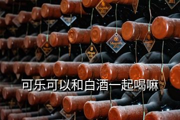 可樂可以和白酒一起喝嘛