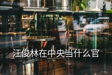 汪俊林在中央當(dāng)什么官