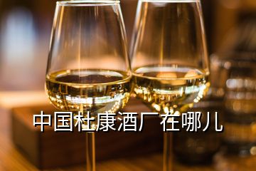 中國杜康酒廠在哪兒