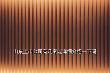 山東上市公司有幾家能詳細(xì)介紹一下嗎