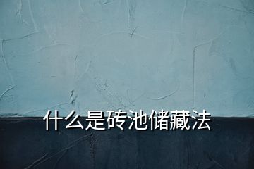 什么是磚池儲藏法