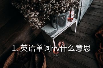 1. 英語單詞nv什么意思