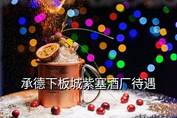 承德下板城紫塞酒廠待遇