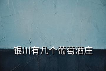 銀川有幾個(gè)葡萄酒莊