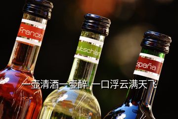 一壺清酒一壺醉  一口浮云滿天飛