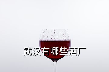 武漢有哪些酒廠