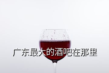 廣東最大的酒吧在那里