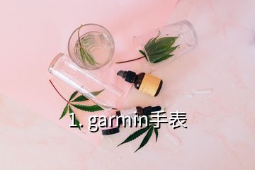 1. garmin手表