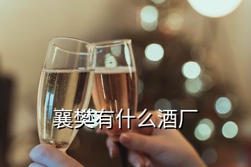 襄樊有什么酒廠