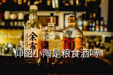 仰韶小陶是糧食酒嗎