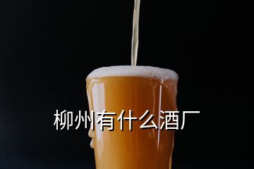 柳州有什么酒廠