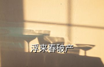 浮來春破產(chǎn)