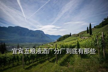 宜賓五糧液酒廠分廠到底有那些