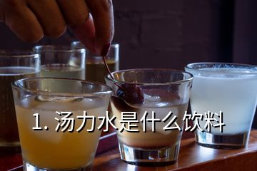 1. 湯力水是什么飲料