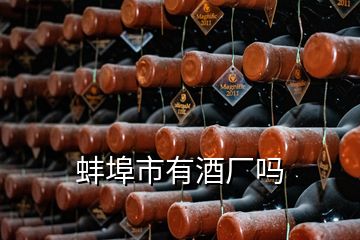 蚌埠市有酒廠嗎