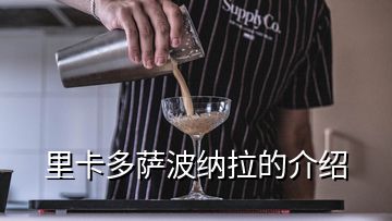 里卡多薩波納拉的介紹