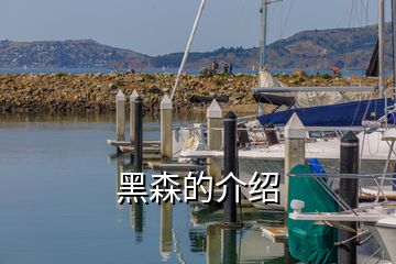 黑森的介紹