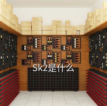 Sk2是什么