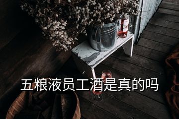 五糧液員工酒是真的嗎